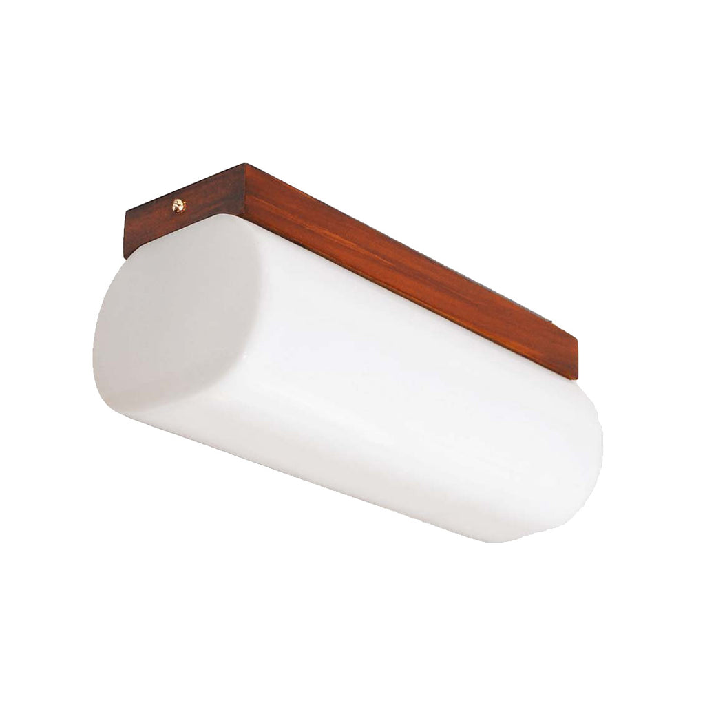 Rectangular Oval Plastic Ceiling Lamp – Keystone Lamps