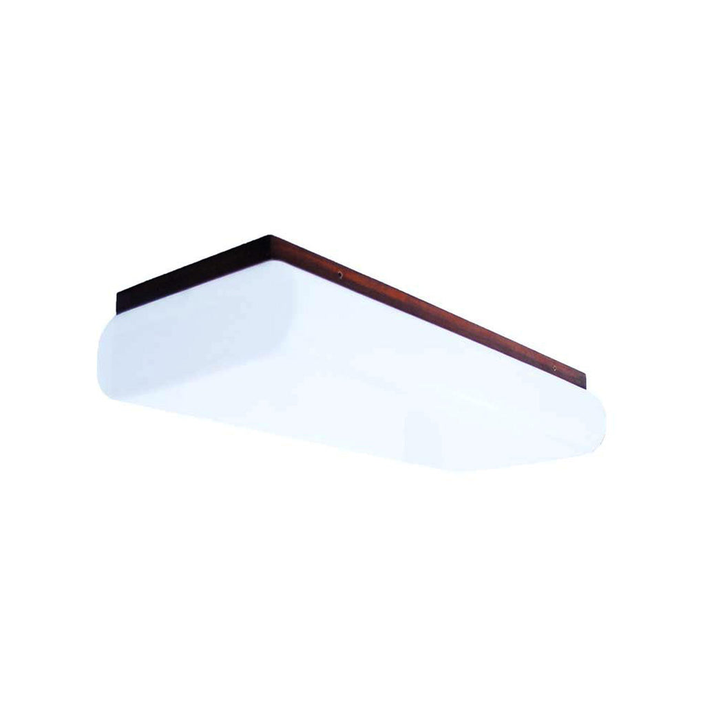 A rectangular ceiling lamp with an acrylic dome