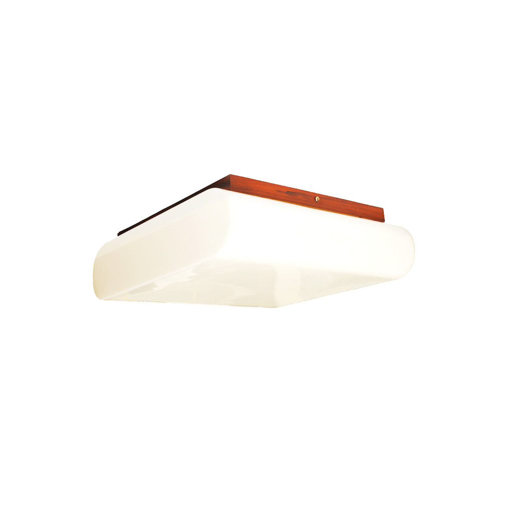 A bright ceiling lamp for dark spaces and modern homes